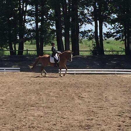 Sassi Talu Horsefarm Hotel Parnumaa Kültér fotó
