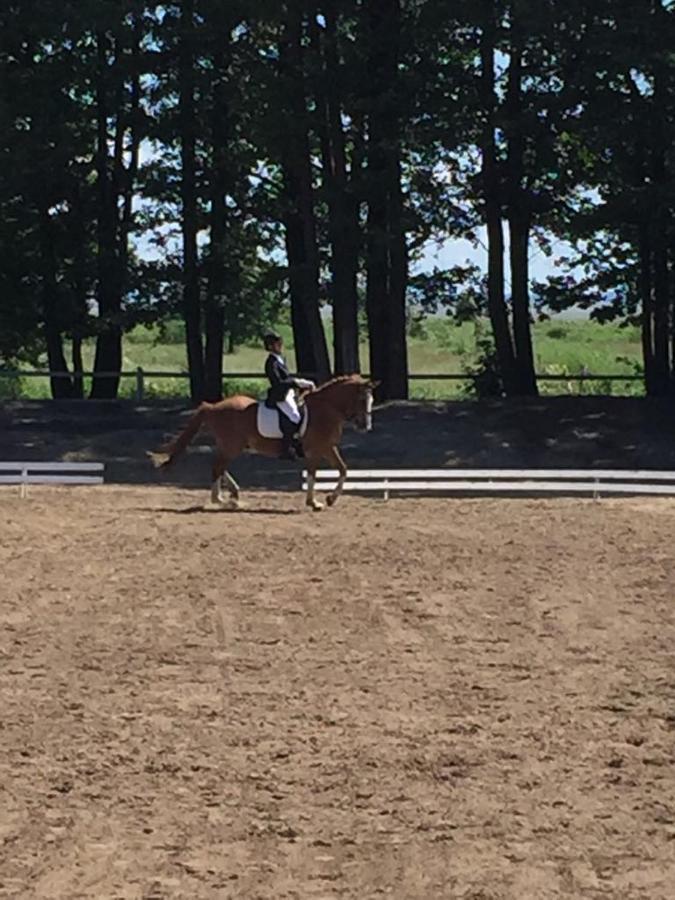 Sassi Talu Horsefarm Hotel Parnumaa Kültér fotó