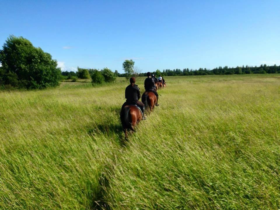 Sassi Talu Horsefarm Hotel Parnumaa Kültér fotó