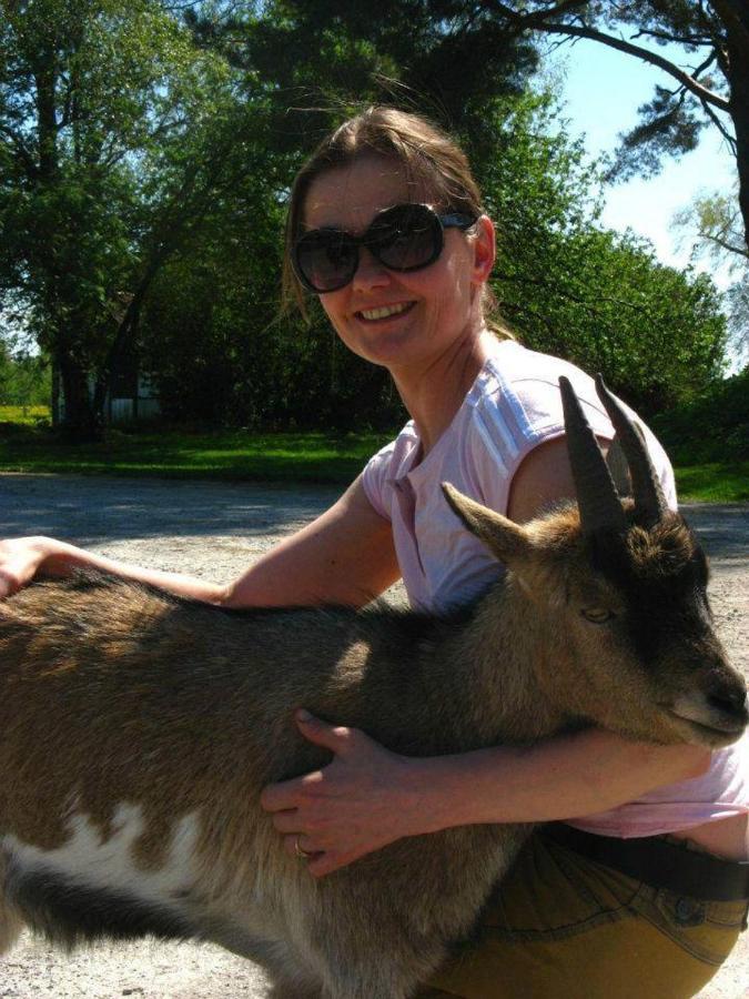 Sassi Talu Horsefarm Hotel Parnumaa Kültér fotó