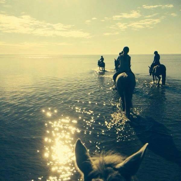 Sassi Talu Horsefarm Hotel Parnumaa Kültér fotó