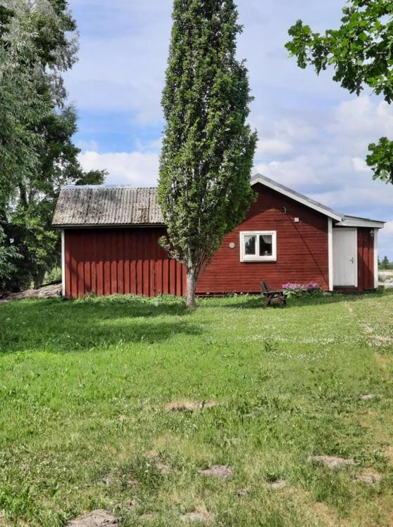 Sassi Talu Horsefarm Hotel Parnumaa Kültér fotó